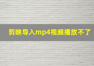 剪映导入mp4视频播放不了