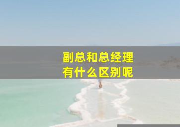 副总和总经理有什么区别呢