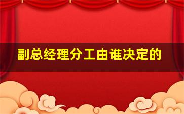 副总经理分工由谁决定的