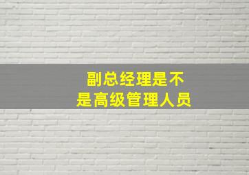 副总经理是不是高级管理人员