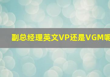 副总经理英文VP还是VGM呢