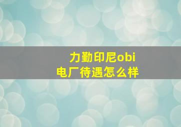 力勤印尼obi电厂待遇怎么样