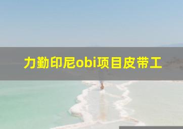 力勤印尼obi项目皮带工