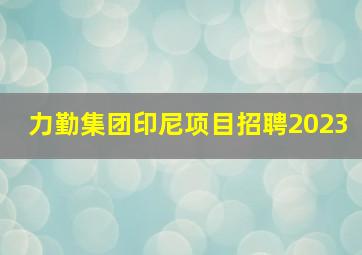 力勤集团印尼项目招聘2023