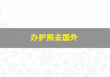 办护照去国外