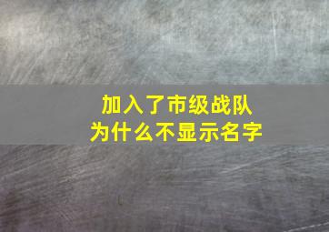 加入了市级战队为什么不显示名字