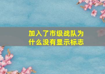 加入了市级战队为什么没有显示标志