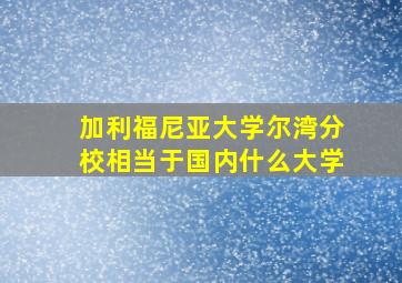 加利福尼亚大学尔湾分校相当于国内什么大学