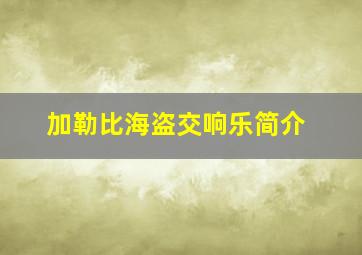 加勒比海盗交响乐简介