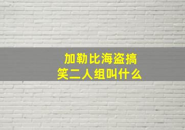 加勒比海盗搞笑二人组叫什么