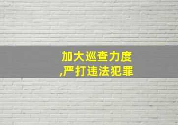 加大巡查力度,严打违法犯罪