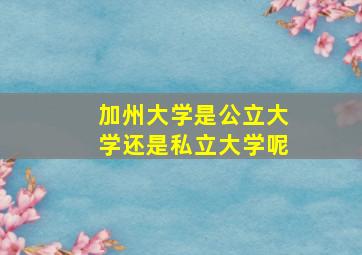 加州大学是公立大学还是私立大学呢