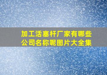 加工活塞杆厂家有哪些公司名称呢图片大全集