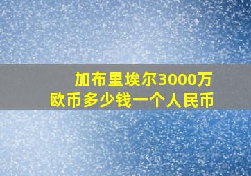 加布里埃尔3000万欧币多少钱一个人民币