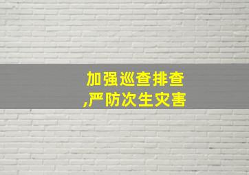 加强巡查排查,严防次生灾害