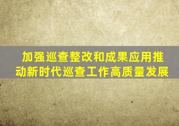 加强巡查整改和成果应用推动新时代巡查工作高质量发展