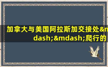 加拿大与美国阿拉斯加交接处——爬行的乌龟