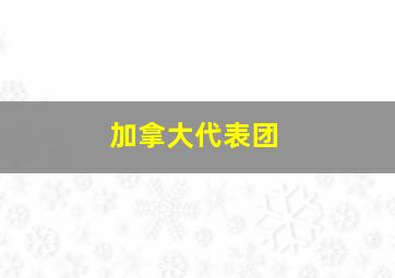 加拿大代表团