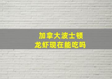 加拿大波士顿龙虾现在能吃吗