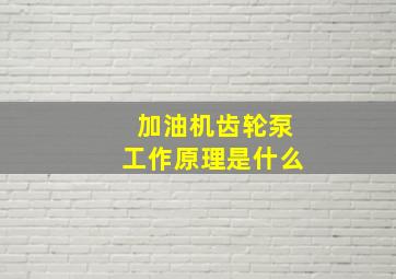 加油机齿轮泵工作原理是什么