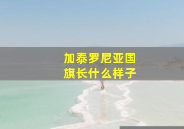 加泰罗尼亚国旗长什么样子