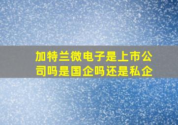 加特兰微电子是上市公司吗是国企吗还是私企