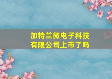 加特兰微电子科技有限公司上市了吗