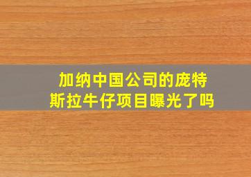 加纳中国公司的庞特斯拉牛仔项目曝光了吗