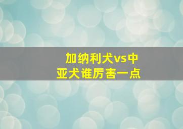 加纳利犬vs中亚犬谁厉害一点