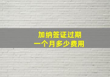 加纳签证过期一个月多少费用