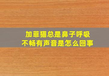 加菲猫总是鼻子呼吸不畅有声音是怎么回事