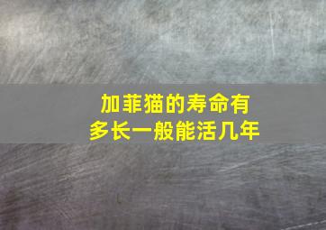 加菲猫的寿命有多长一般能活几年