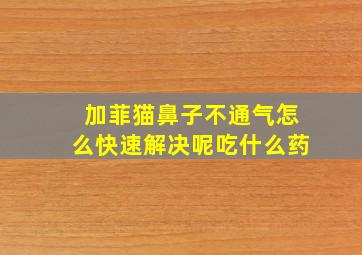 加菲猫鼻子不通气怎么快速解决呢吃什么药