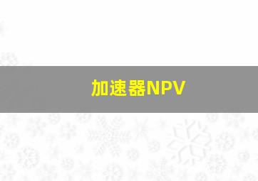 加速器NPV