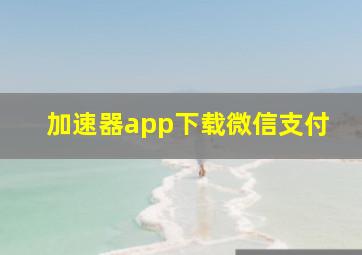 加速器app下载微信支付