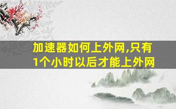 加速器如何上外网,只有1个小时以后才能上外网