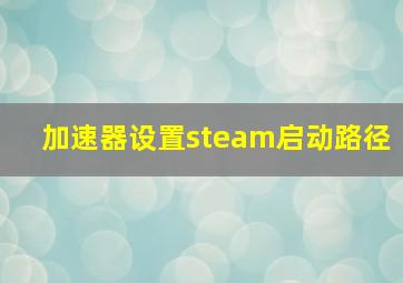 加速器设置steam启动路径