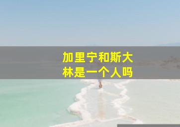 加里宁和斯大林是一个人吗