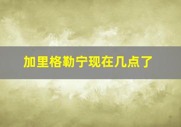 加里格勒宁现在几点了