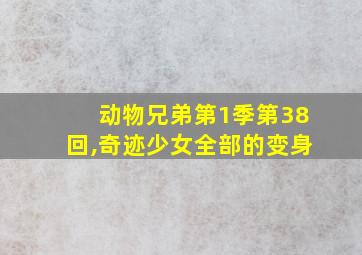 动物兄弟第1季第38回,奇迹少女全部的变身