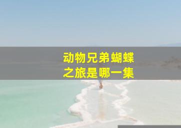 动物兄弟蝴蝶之旅是哪一集