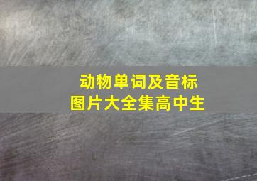 动物单词及音标图片大全集高中生