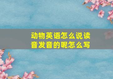 动物英语怎么说读音发音的呢怎么写