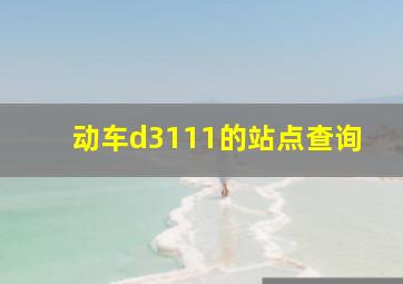 动车d3111的站点查询