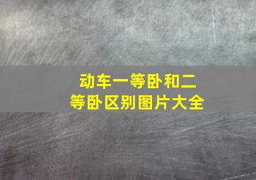 动车一等卧和二等卧区别图片大全