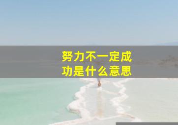 努力不一定成功是什么意思