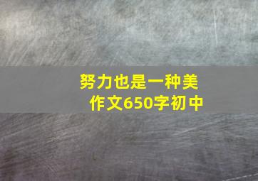 努力也是一种美作文650字初中