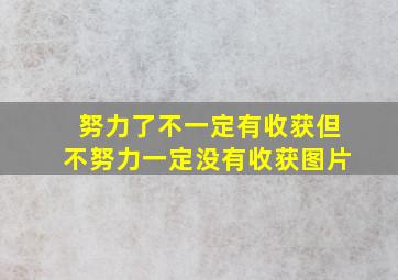 努力了不一定有收获但不努力一定没有收获图片