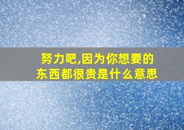 努力吧,因为你想要的东西都很贵是什么意思