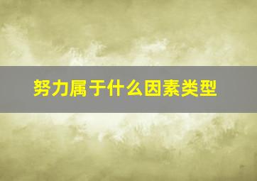 努力属于什么因素类型